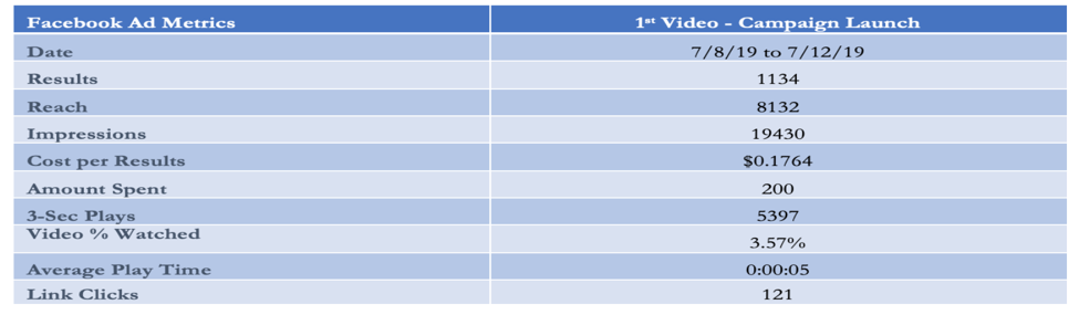 Analysis of Denver's 2019 DPS Director District 1 Election